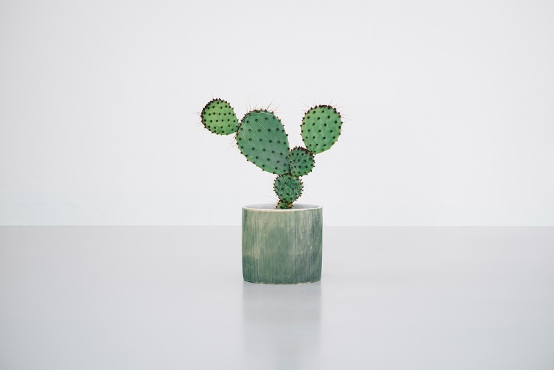 kaktus-lili-in-wonderland-6