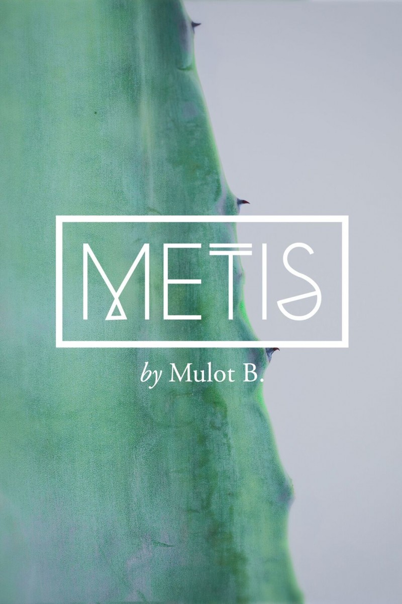 metis-bijoux-mulot-b-lili-in-wonderland-13