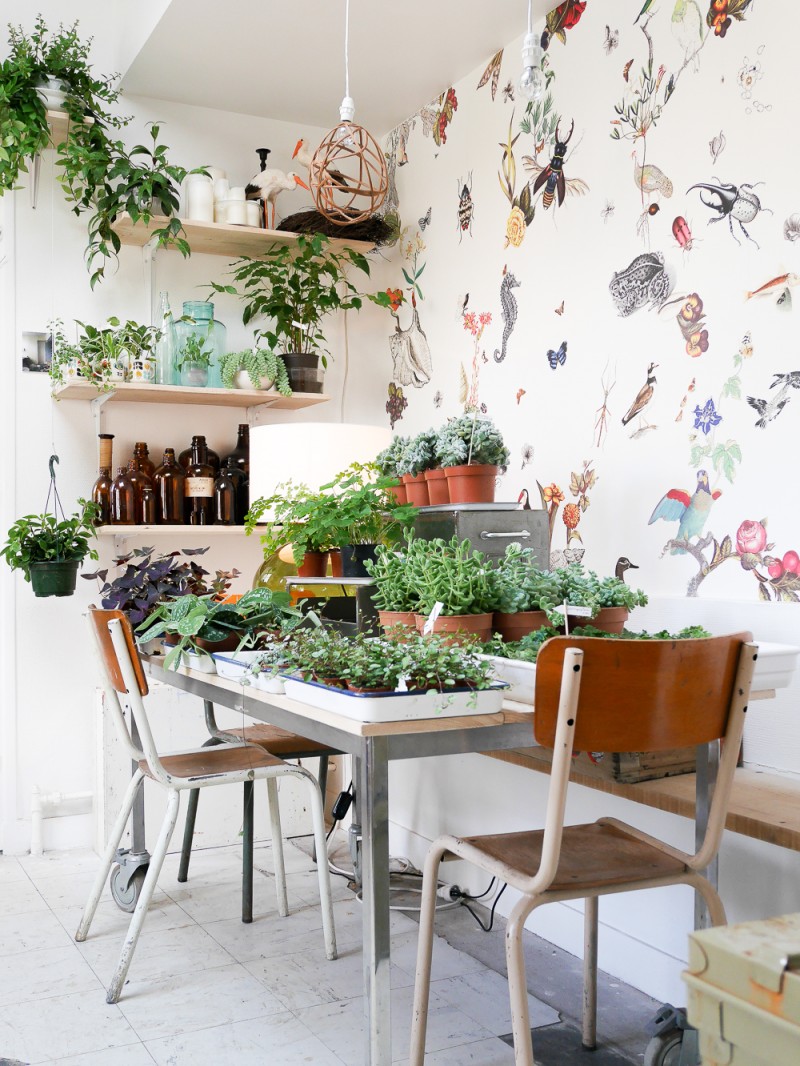 mama petula concept store décoration végétale green plantes lili in wonderland