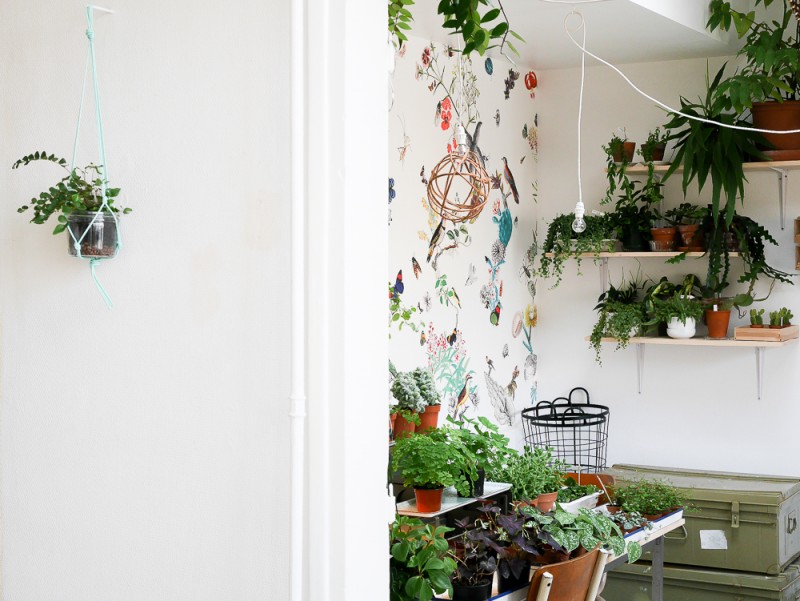 mama petula concept store décoration végétale green plantes lili in wonderland