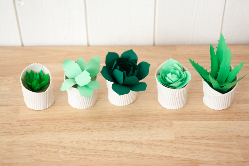 DIY-plantes-papier