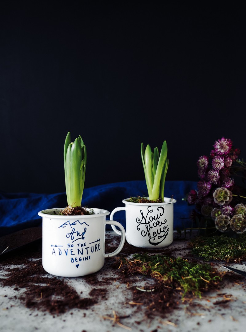 DIY mugs en émail personnalisés pour jacinthes