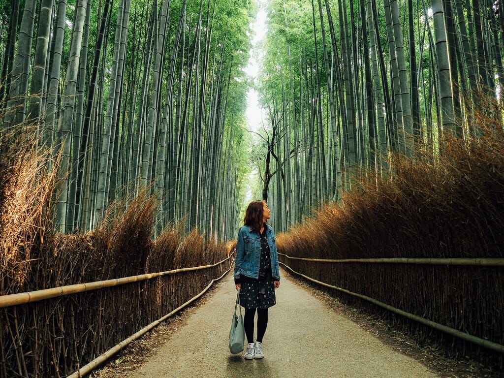 Voyage au Japon guide, itinéraire et conseils Lili in wonderland