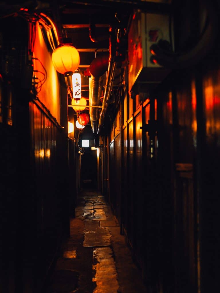 pontocho voyage Kyoto automne blog