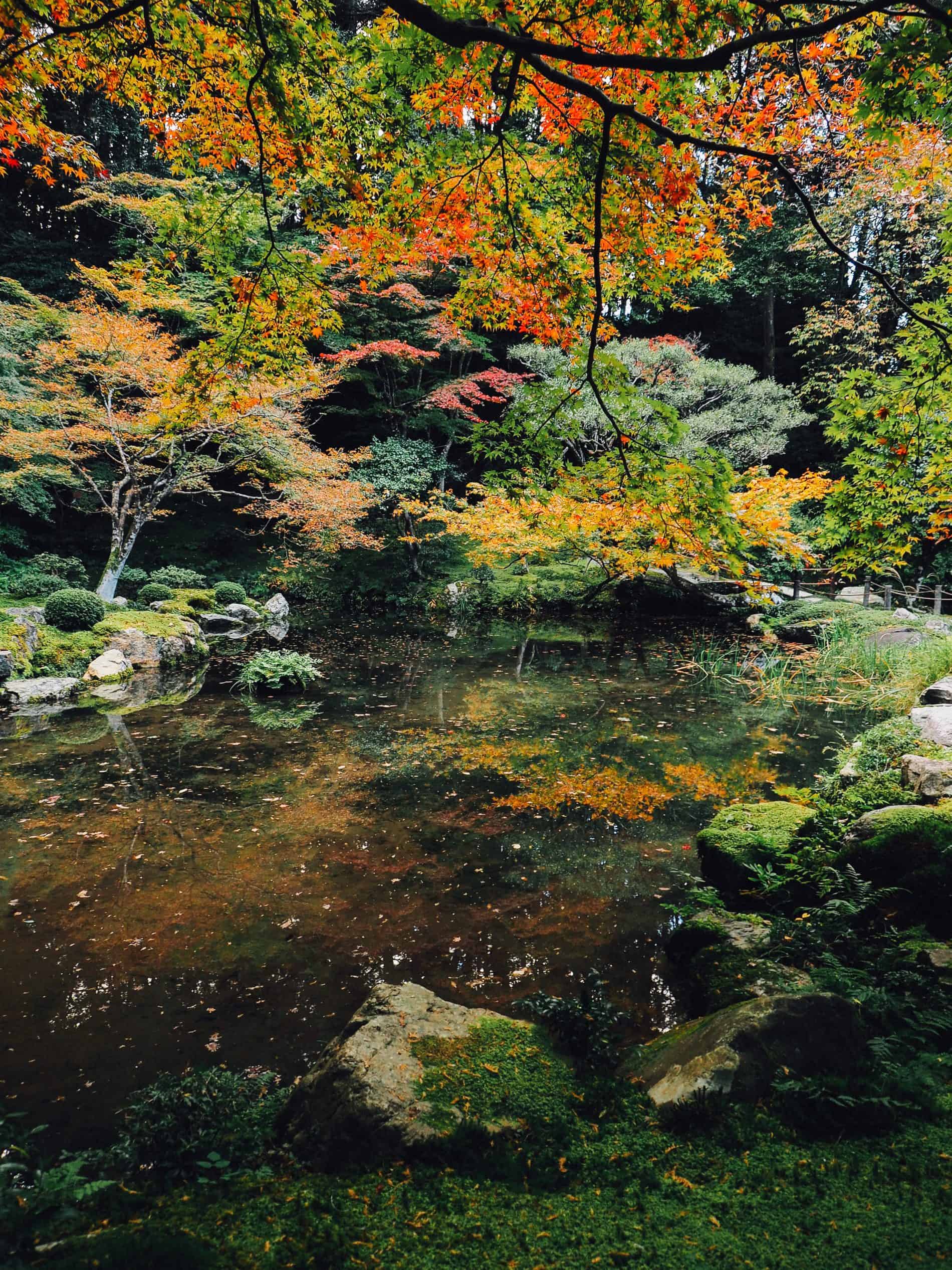 voyage kyoto blog automne japon