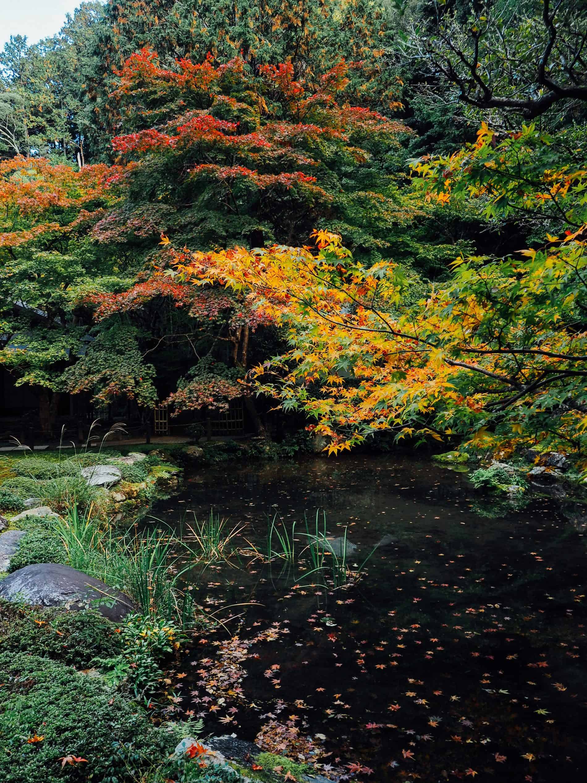 voyage kyoto blog automne japon