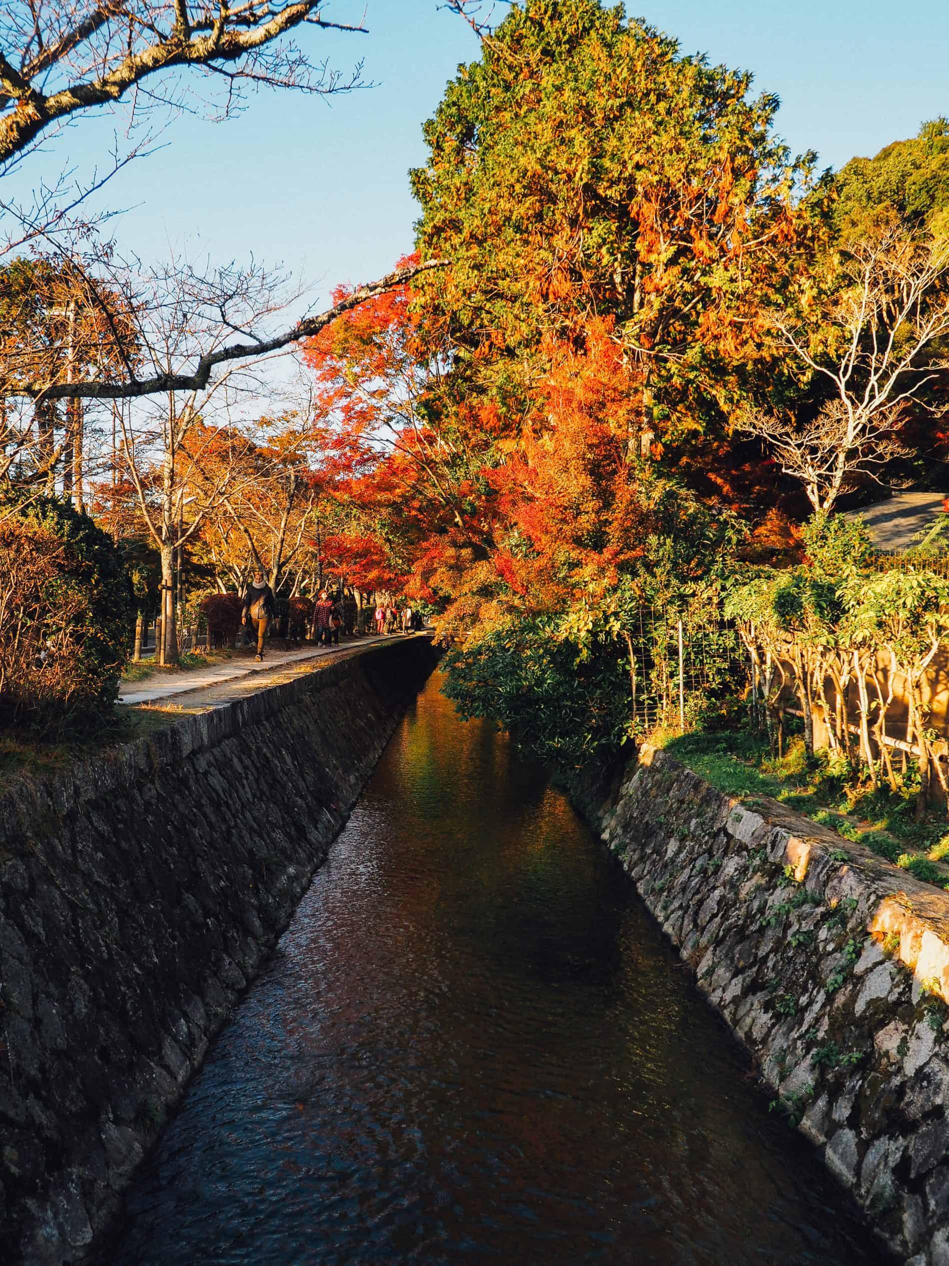 voyage kyoto blog automne japon 