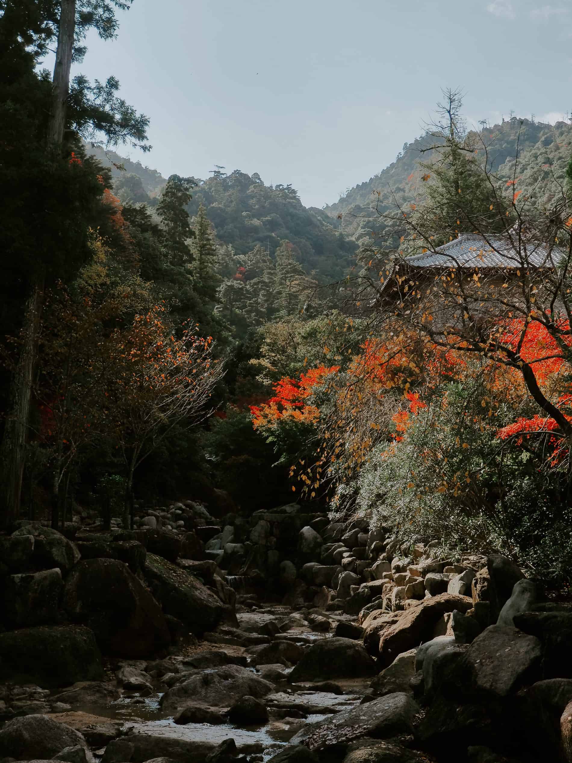 visiter miyajima ile Hiroshima mont misen voyage japon blog lili in Wonderland