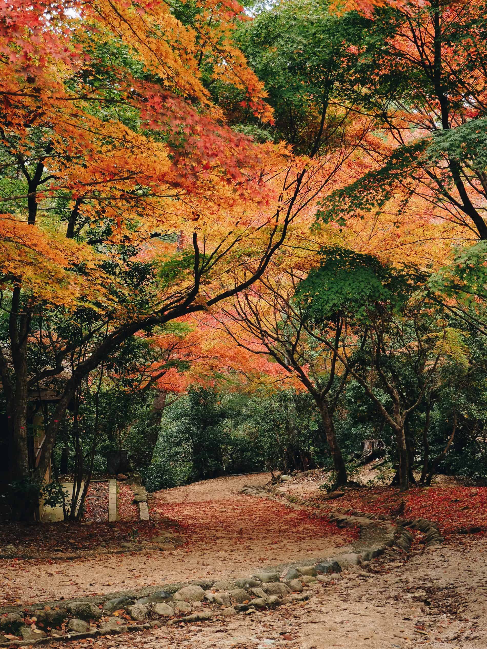 visiter miyajima momijidani ile Hiroshima voyage japon blog lili in Wonderland